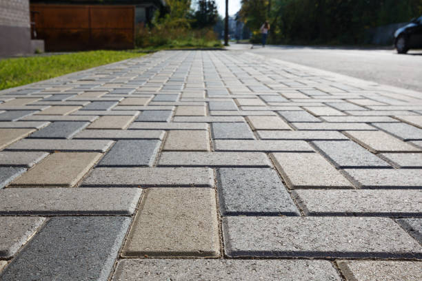 Best Local Driveway Pavers  in Lealman, FL